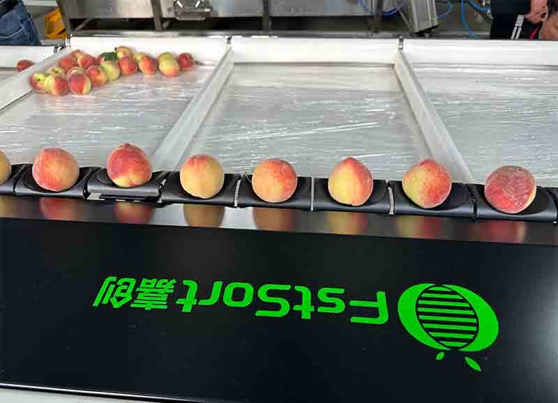 images/1715928698055peach grading machine.jpg